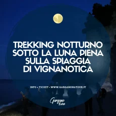 Trekking notturno sotto la Luna Piena sulla spiaggia di Vignanotica - 28 luglio