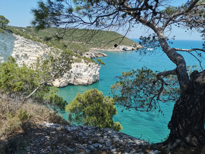 Guida Turistica Gargano per Gruppi e Tour Operator - immagine 3