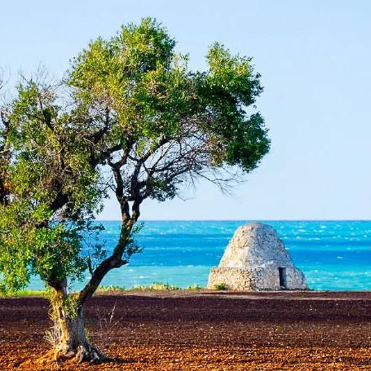 Escursione sulla Costa Ripagnola fino a Polignano a Mare - immagine 2